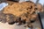 2020s Handcrafted Burlwood Table - One of a Kind Statement Piece For Sale - Image 5 of 11