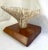Vintage White Table Coral Specimen For Sale - Image 9 of 12