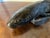 Metal Antique 19th Century Japanese Meiji Bronze Fish Okimono Sculpture of a Carp or Koi For Sale - Image 7 of 12