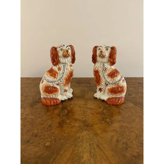 Wonderful pair of antique Victorian seated spaniels. Having a lovely pair of antique seated spaniels with red and white...