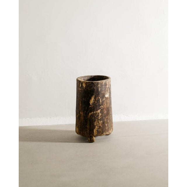 1950s Vintage Indian Wabi Sabi Decorative Wooden Naga Planter Pot, 1960s For Sale - Image 5 of 5