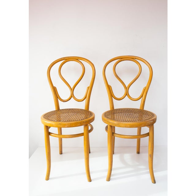 Set of Yellow Chairs by Josias Eissler & Söhne, Vienna, 1890s For Sale - Image 3 of 10
