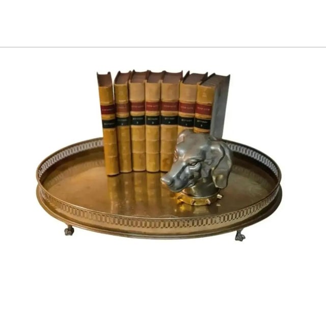 Dark Gray Antique Figural Dog Head Tobacco / Cigarette Box ~ Circa Late 19th Century For Sale - Image 8 of 10