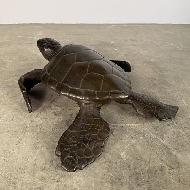 Large Bronze Sea Turtle Sculpture – 26” L For Sale - Image 11 of 14