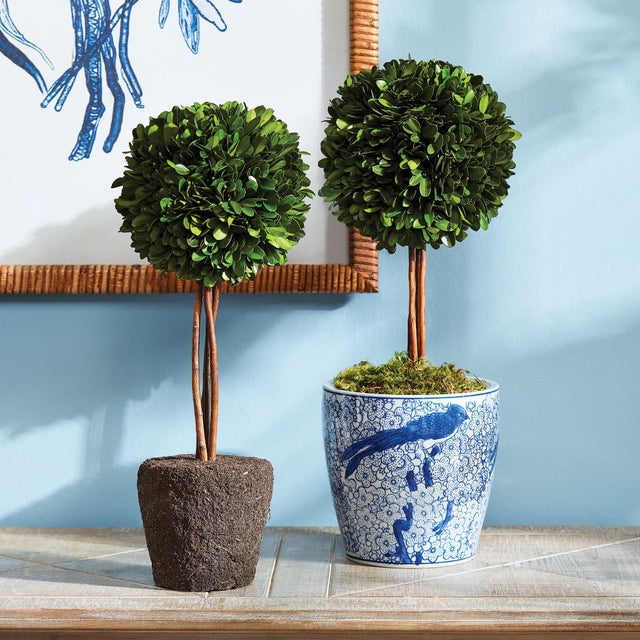 Kenneth Ludwig Chicago Boxwood Single Sphere Topiary Drop-In 16" For Sale - Image 4 of 4