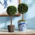 Kenneth Ludwig Chicago Boxwood Single Sphere Topiary Drop-In 16" For Sale - Image 4 of 4