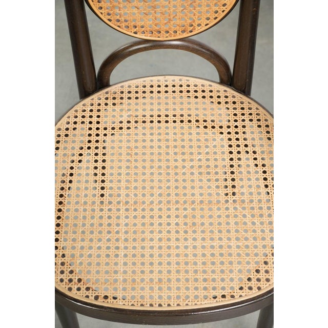 Vintage Long John High Back Armchairs in Curved Wood with Cane Seats from Thonet, Set of 2 For Sale - Image 6 of 13