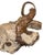 Didymoceras Stevensoni Heteromorph Ammonite Fossil on Matrix, South Dakota. For Sale In Los Angeles - Image 6 of 12