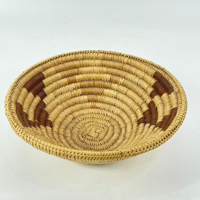 Early 20th Century Tonga Basket Zambia 8inch Snake Belly Edge MATTER COLLECTION For Sale In Denver - Image 6 of 8