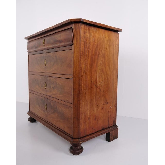 Wood Mahogany Chest of Drawers with Four Drawers, 1880s For Sale - Image 7 of 12
