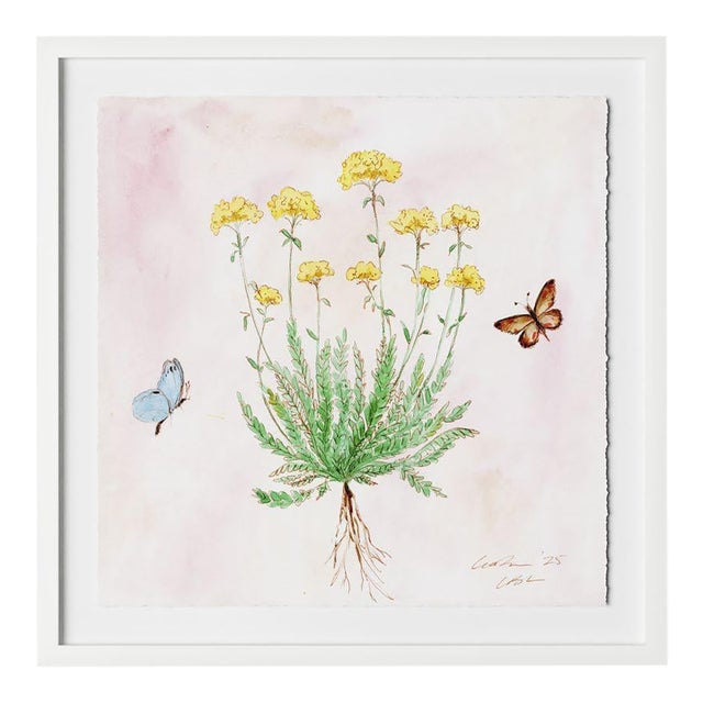 Blush Botanical 2 by Lia Burke Libaire in White Frame, Small Art Print on Paper For Sale