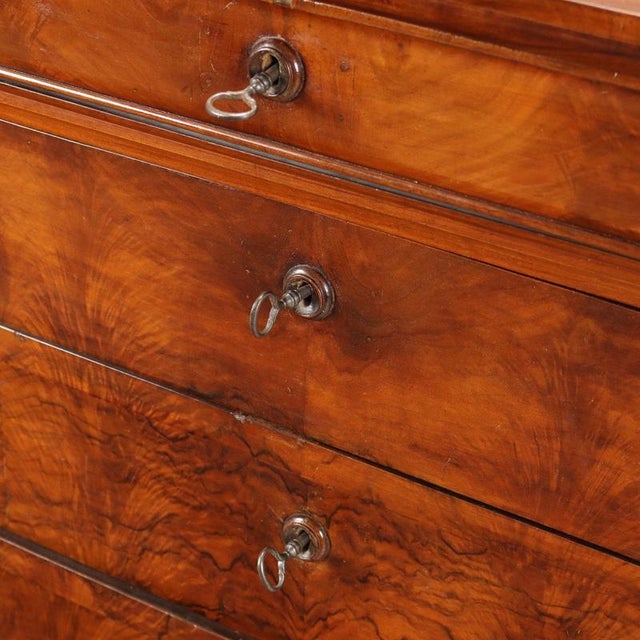 Cappuccino Chest of Drawers in Walnut For Sale - Image 6 of 11