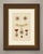 This is an original antique wood engraving, colored by hand, showing insignia of the order of leopold of belgium. At the...