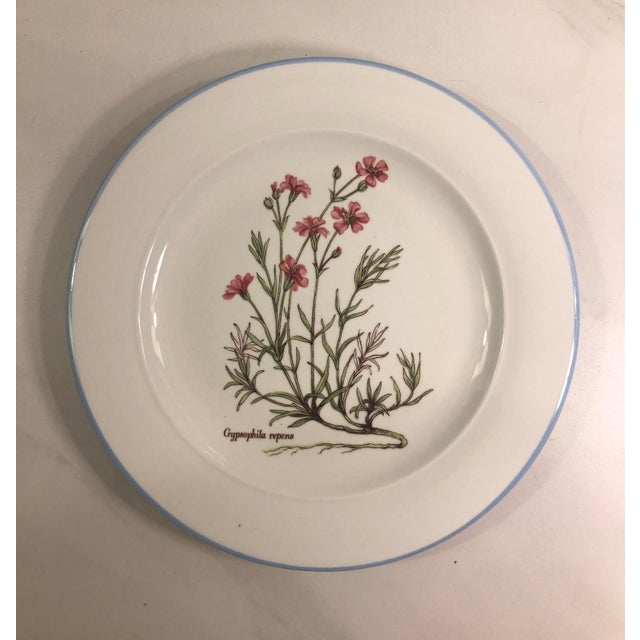 1980s Italian Ceramiche Floral Decorative Plates (Set of 4) For Sale - Image 5 of 8