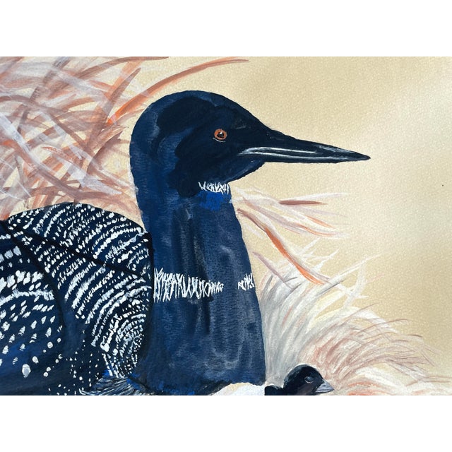 1980s duck watercolor and gouache sporting art painting of a nesting loon with looniest. Signed by S. McCoy lower right.