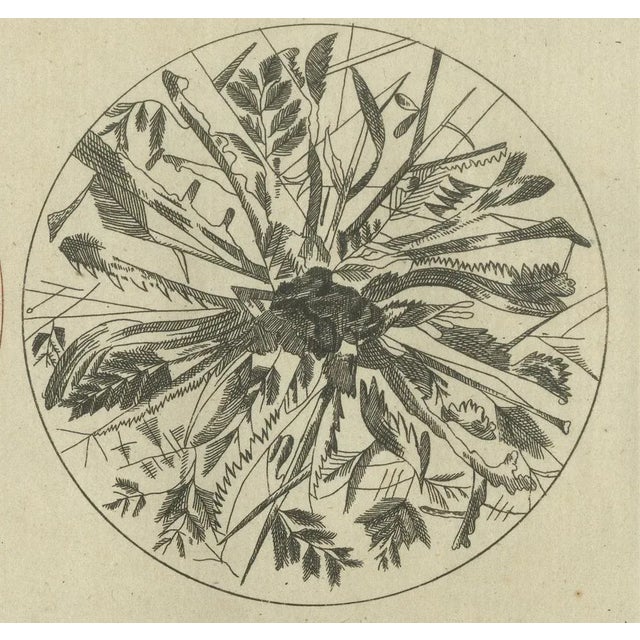 Microscopic Views of Metallic Crystal Trees: Copper, Lead, Pewter and Zinc, 1805, Paper For Sale - Image 4 of 10