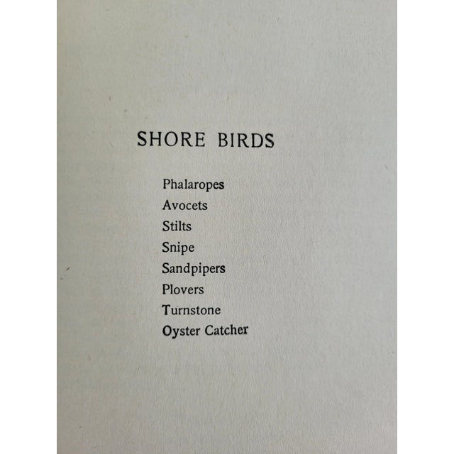 1904 Edition of Birds That Hunt & Are Hunted by Neltje Blanchan For Sale - Image 10 of 12