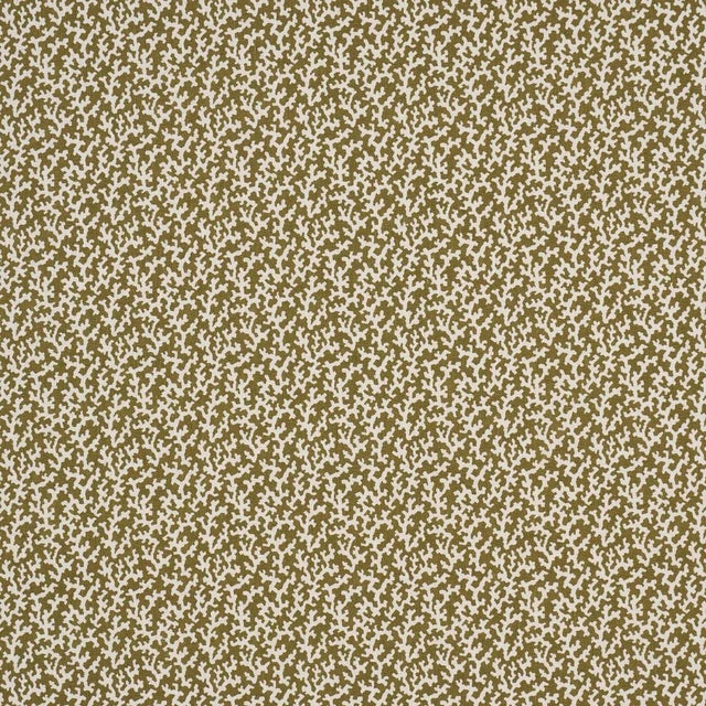 Nautical SAMPLE - Schumacher x Veere Greeney Folly Fabric In Olive For Sale - Image 3 of 3