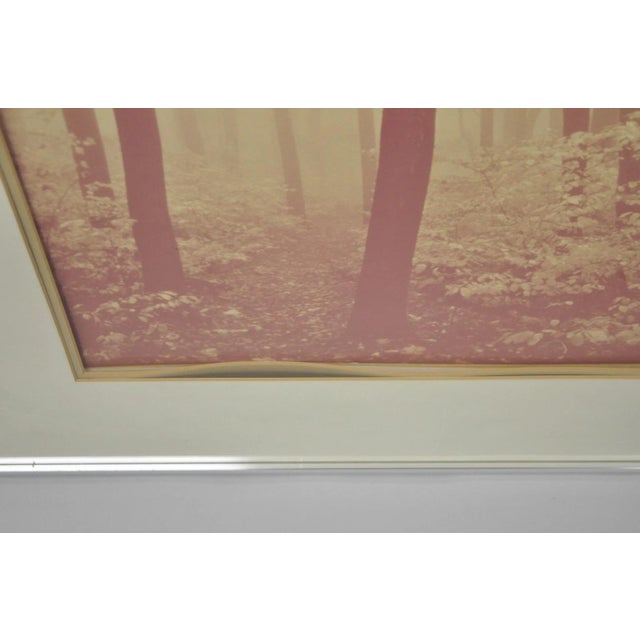 Yellow Vintage David Lorenz Winston "Seven Trees" Landscape Signed Framed Art Print For Sale - Image 8 of 14