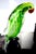 Murano 1970s Vintage Dynasty Gallery Murano-Style Cased Glass Parrot For Sale - Image 4 of 15