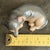 Goldenrod Vintage MCM Royal Copenhagen Dachshund Figurine For Sale - Image 8 of 9