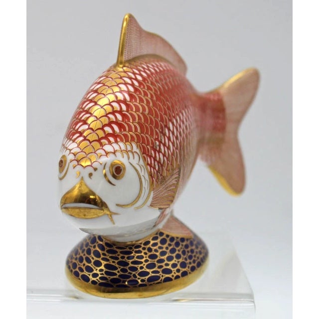 Elegant vintage Royal Crown Derby bone china figurine depicting a graceful golden carp/goldfish. Beautifully crafted with...