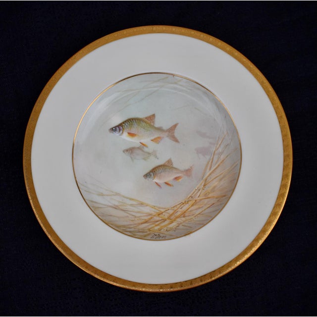 Set of 6 Antique Minton for Tiffany Hand Painted Fish Cabinet Plates Gold Rim For Sale - Image 9 of 18