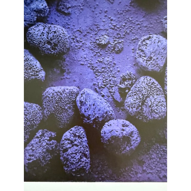 Early 21st Century After Yves Klein, Relief èponge blue: RE19, Print For Sale - Image 5 of 7