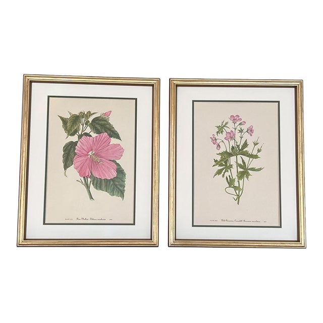 Vintage Botanicals - Framed Set of 2 - Authentic 1953 Prints For Sale