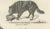 Wild and Domestic Dogs, 1836, Lithograph For Sale - Image 4 of 11