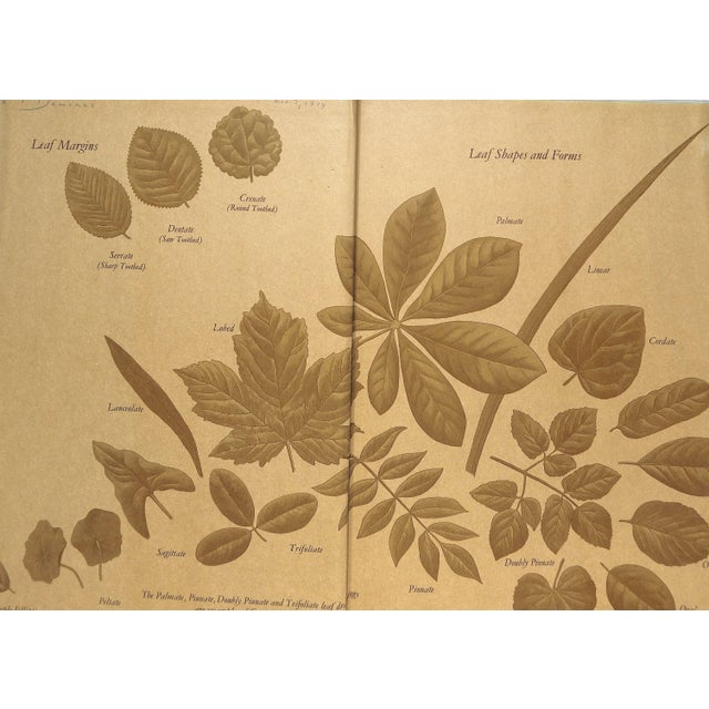 Paper "Flowers of the World" Book 1972 Perry, Frances, Greenwood, Leslie [Illustrated By] For Sale - Image 7 of 9