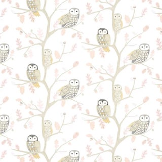 Harlequin Little Owls Wallpaper in Kiwi - a Sample For Sale