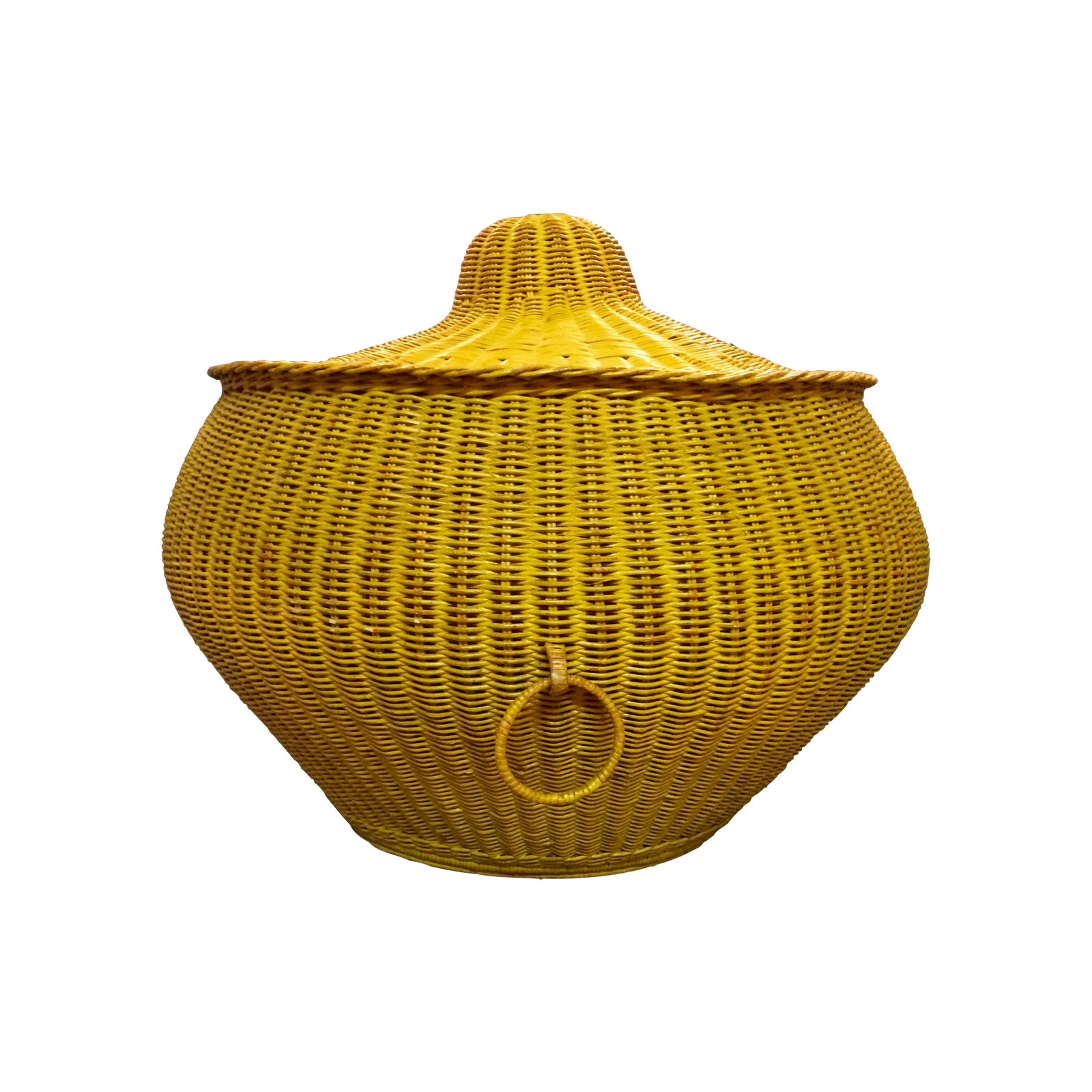 Large Snake Charmer Basket Chairish