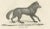 C.C. G. Zool., The Black Wolf and Grey Wolf, 1836, Lithograph For Sale - Image 6 of 11