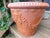 Mid 20th Century Mid-Century Bitossi F.&F. Italian Terracotta Planter With Festoon Swags & Mascarons For Sale - Image 5 of 13