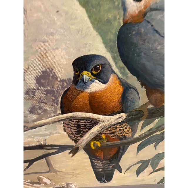 This is a beautiful wildlife painting in the style of Richard Sloan depicting a pair of orange-breasted falcons perched in...