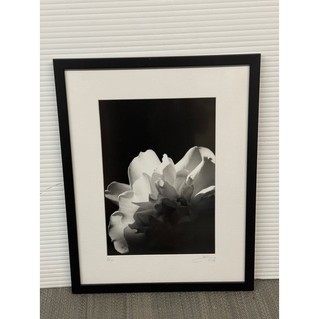 Wood Jess Johnston Photograph, Framed For Sale - Image 7 of 12