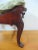 Victorian Mahogany Lion Carved Stool For Sale - Image 4 of 8