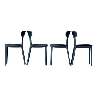 Vintage Canova Dining Chairs by Claus Breinholt for Infiniti, 2010s, Set of 4 For Sale