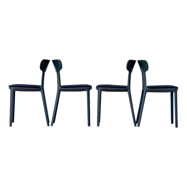 Vintage Canova Dining Chairs by Claus Breinholt for Infiniti, 2010s, Set of 4 For Sale