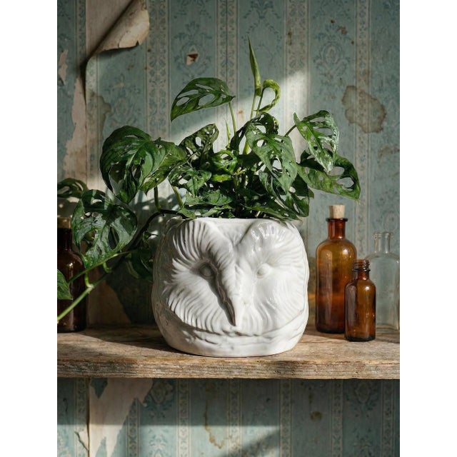 Stunning large planter featuring a relief owl head in a modern, detailed style, made of monochrome white...