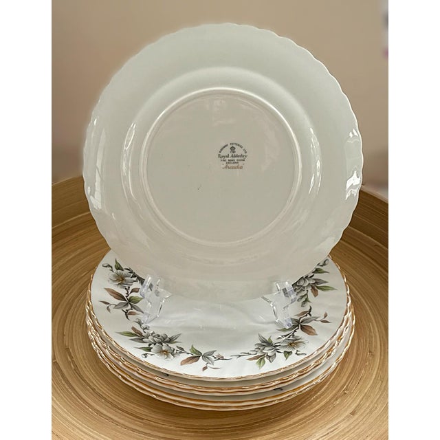 Ridgway Porcelain S/6 Royal Adderley “Arcadia” Salad Plates – English Fine Bone China For Sale - Image 4 of 5