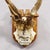 Abnormal Red Deer Trophy by Philipp Ernst, Prince of Thurn and Taxis, 1935 For Sale - Image 4 of 6