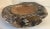 Early 21st Century Organic Modern Handmade Teak Root Bowl For Sale - Image 9 of 9