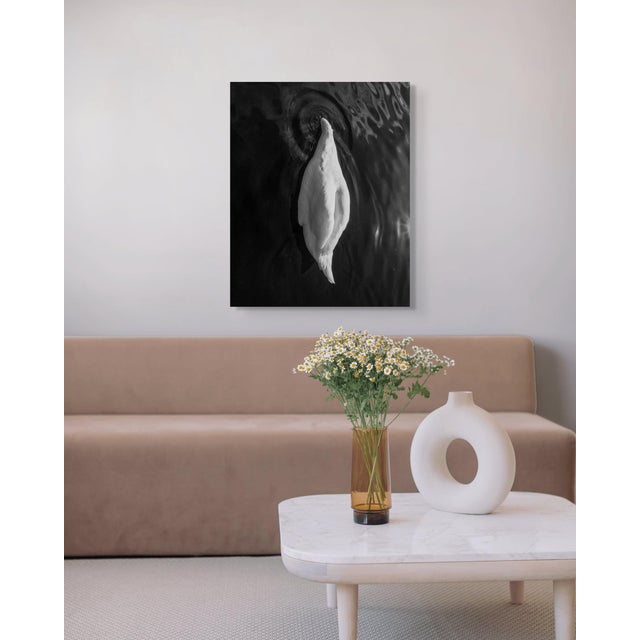 Contemporary Swan by Joe Clarke – Limited Edition Abstract Photograph | Framed, Ready to Hang Metal Print For Sale - Image 3 of 7