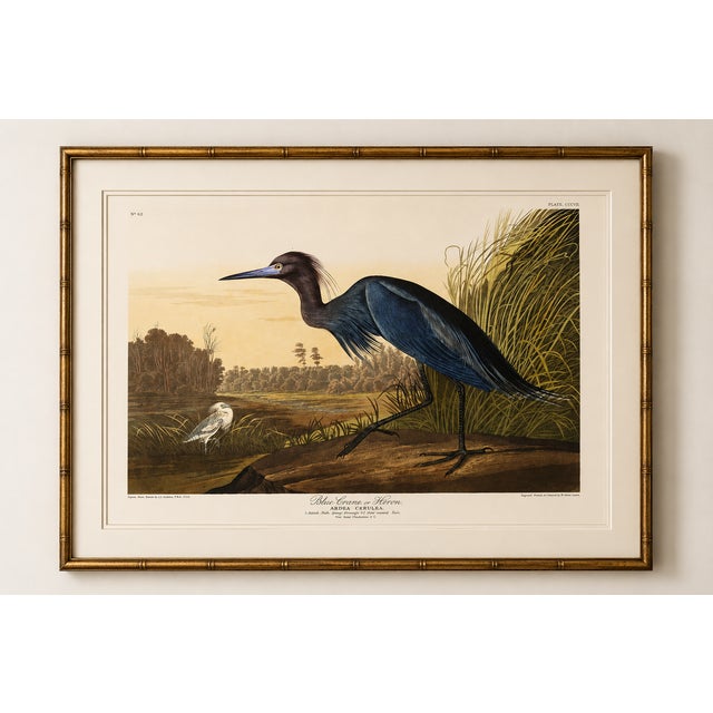 Not Yet Made - Made To Order Blue Crane or Heron, 1827 – John James Audubon Vintage Bird Art Print, 32" X 24" For Sale - Image 5 of 11