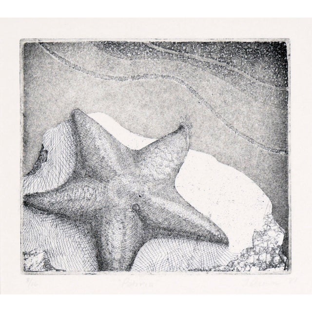 Contemporary Starfish Etching in Ink on Paper (#8/16) by J Brown For Sale - Image 3 of 10