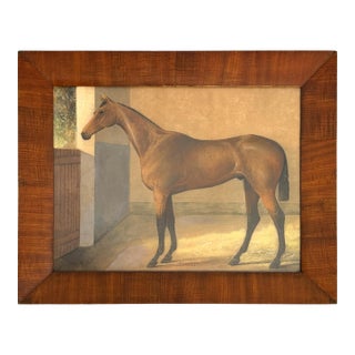 19th Century Framed Thoroughbred Horse Watercolor Painting For Sale