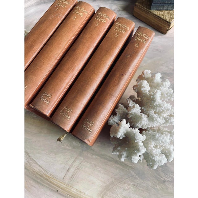 Collection of 5 of Goethes Werke in German Vintage For Sale - Image 10 of 10