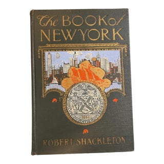 1917 the Book of New York For Sale